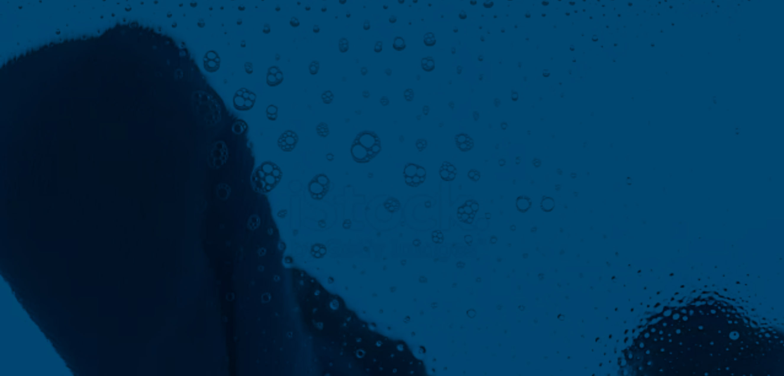 Aqua Cleaning Commercial and Domestic Window Cleaning in Guernsey